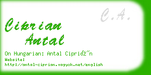 ciprian antal business card